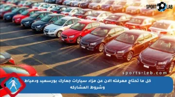 كل ما تحتاج معرفته الآن عن مزاد سيارات جمارك بورسعيد ودمياط وشروط المشاركة
